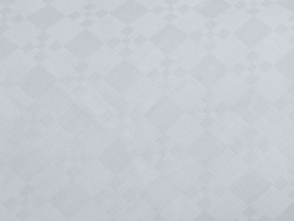 美博盛爾蠶絲被白色同心格